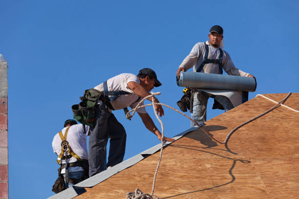 Quick and Trustworthy Emergency Roof Repair Services in Dania Beach, FL